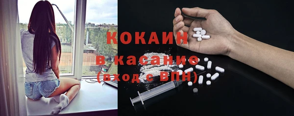 бошки Богданович
