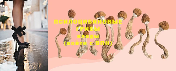 бошки Богданович