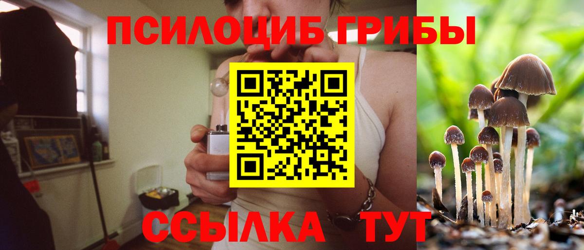 Псилоцибиновые грибы ЛСД Буйнакск