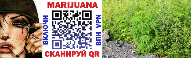 Канабис OG Kush  купить   Буйнакск 